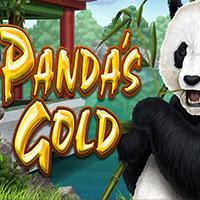 Panda's Gold